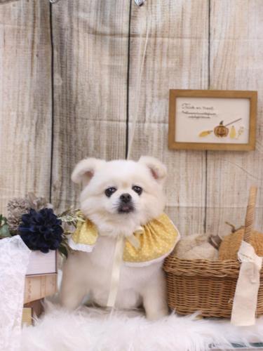 20241024ララちゃん